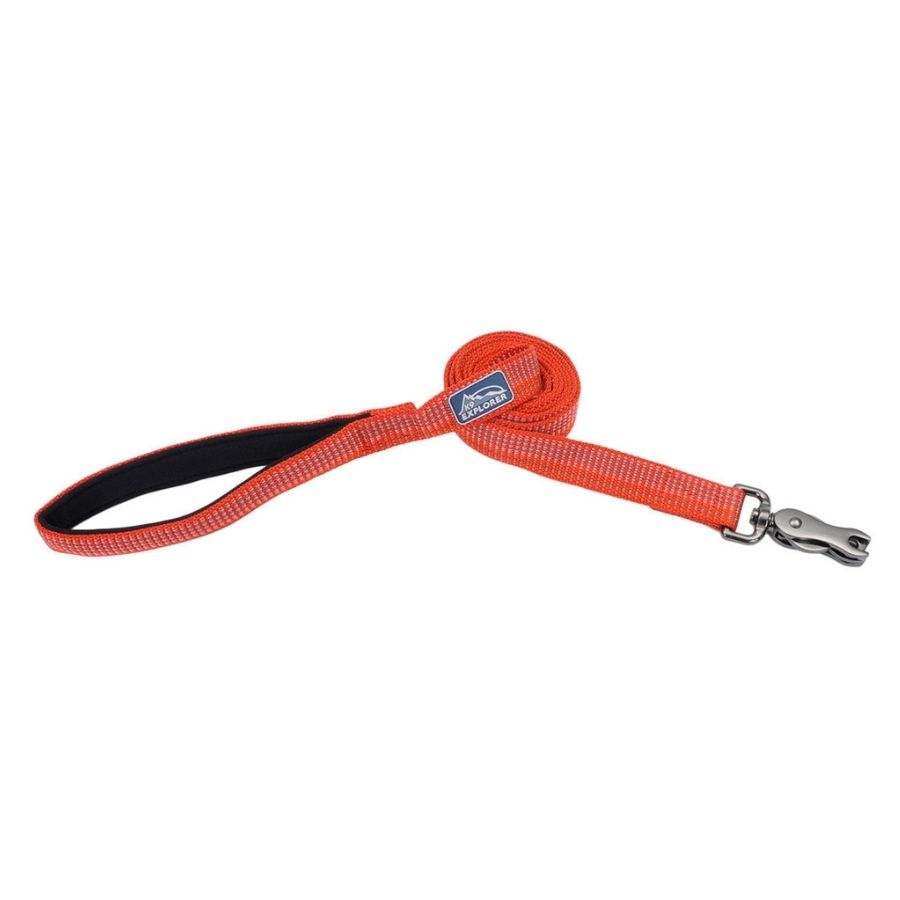Correa brights reflective dog, canyon, , large image number null
